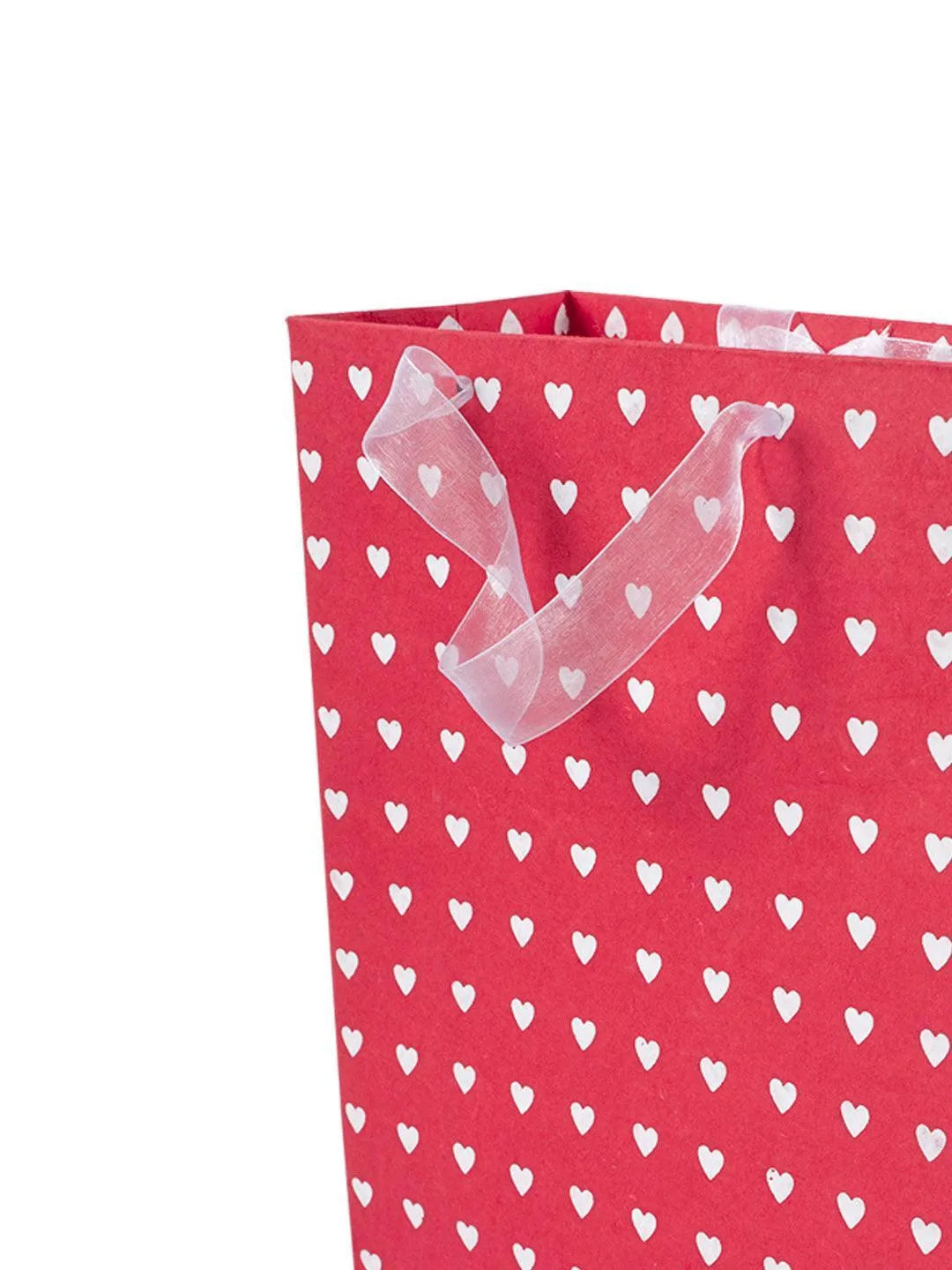 Large Valentine Gift Bag