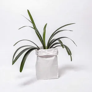 Small White Block Bottom Bag